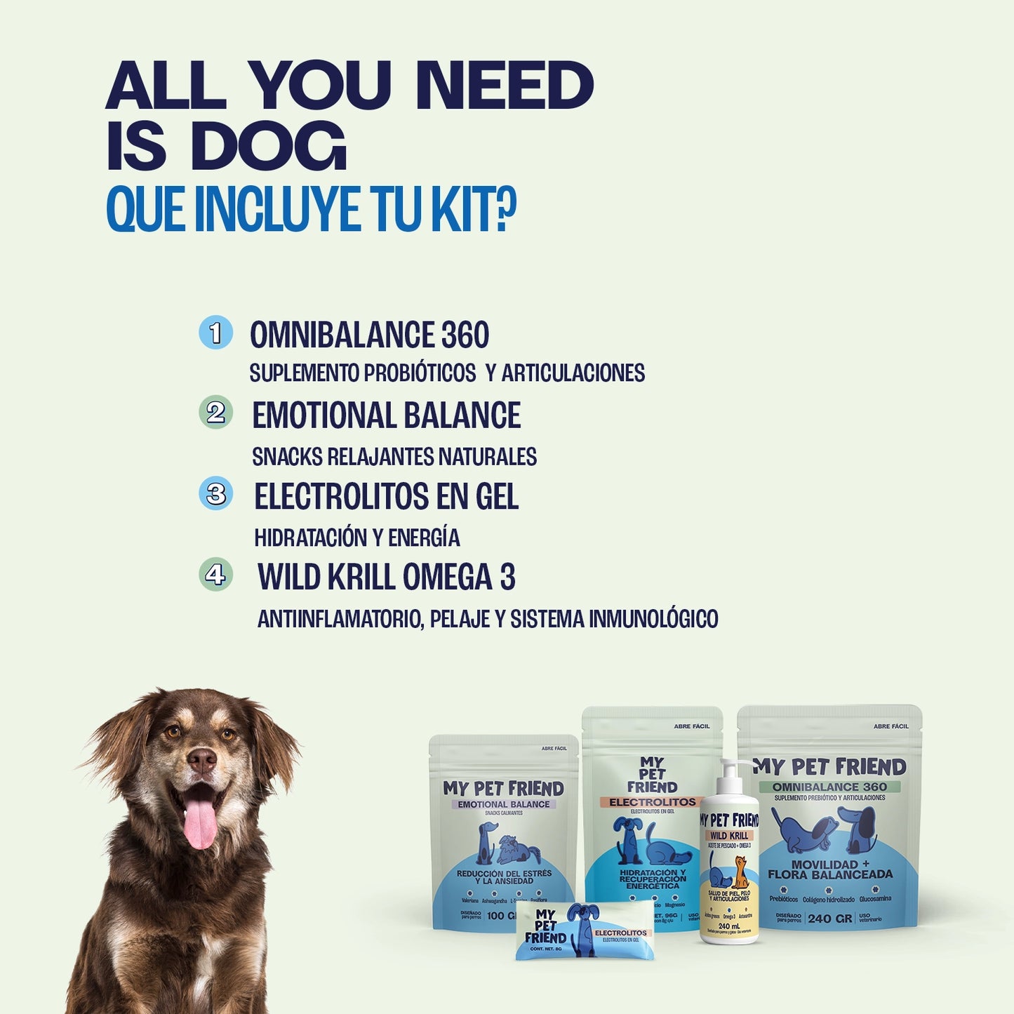 Kit - All You Need is Dog