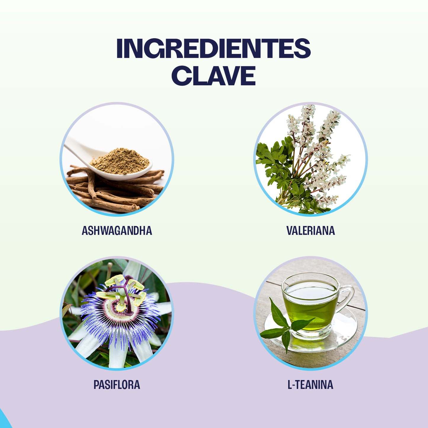 Snacks Relajantes - EMOTIONAL BALANCE
