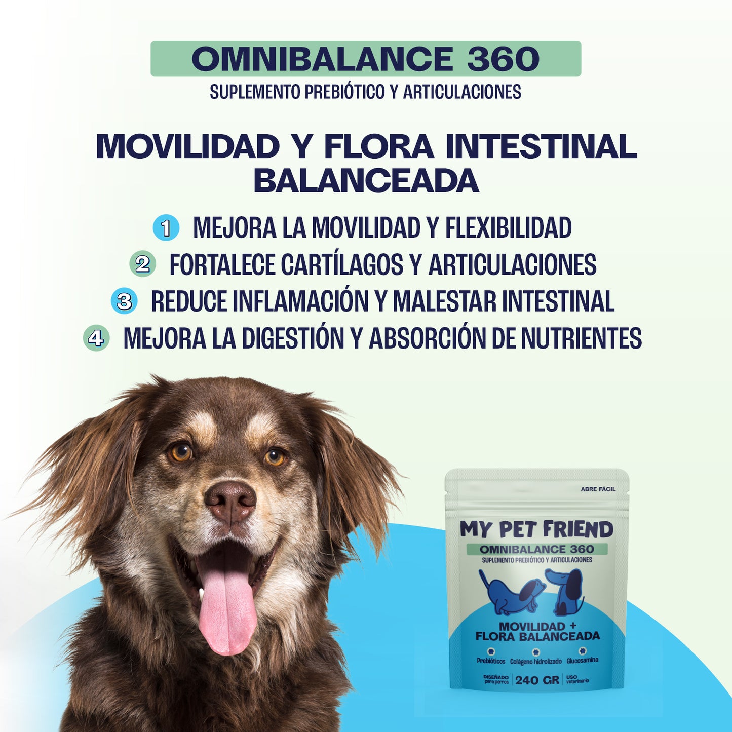 OMNIBALANCE 360 – Suplemento 2 en 1: Articulaciones + Digestión
