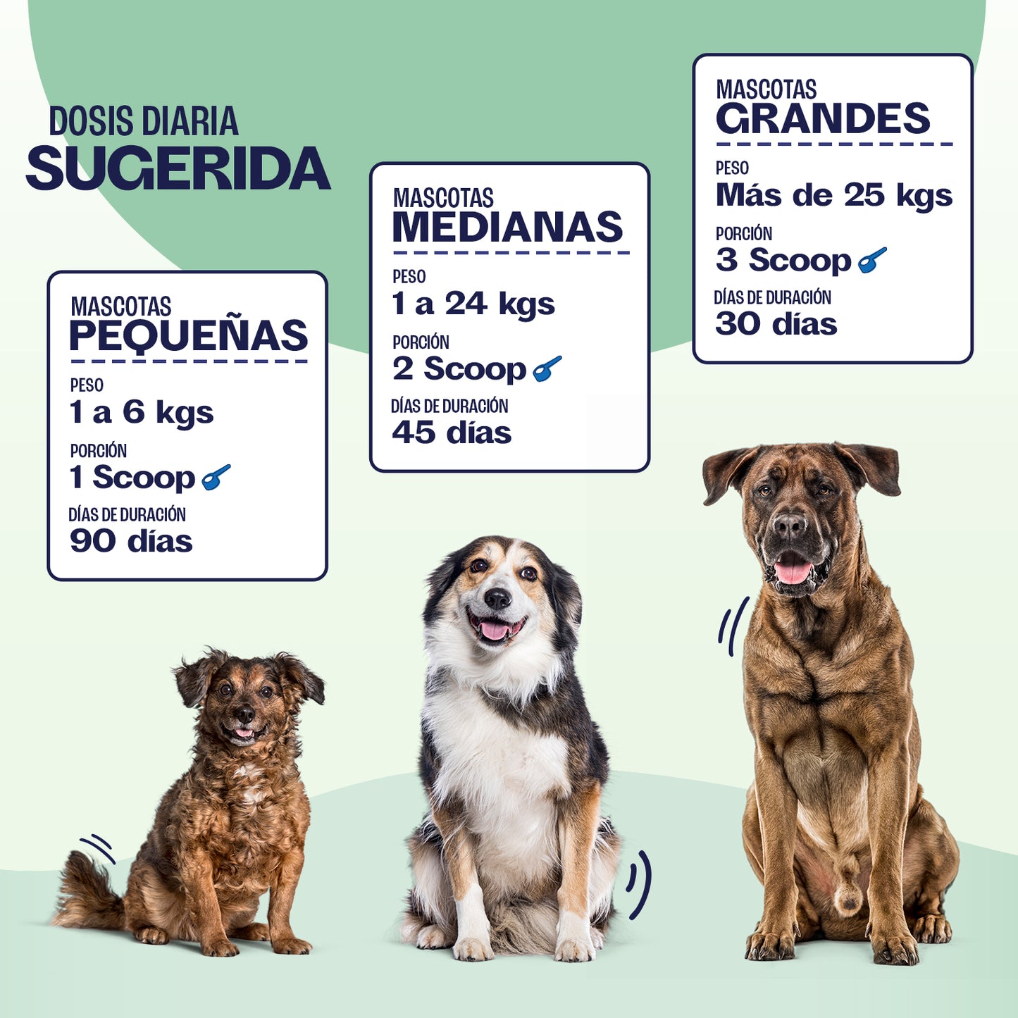 OMNIBALANCE 360 – Suplemento 2 en 1: Articulaciones + Digestión