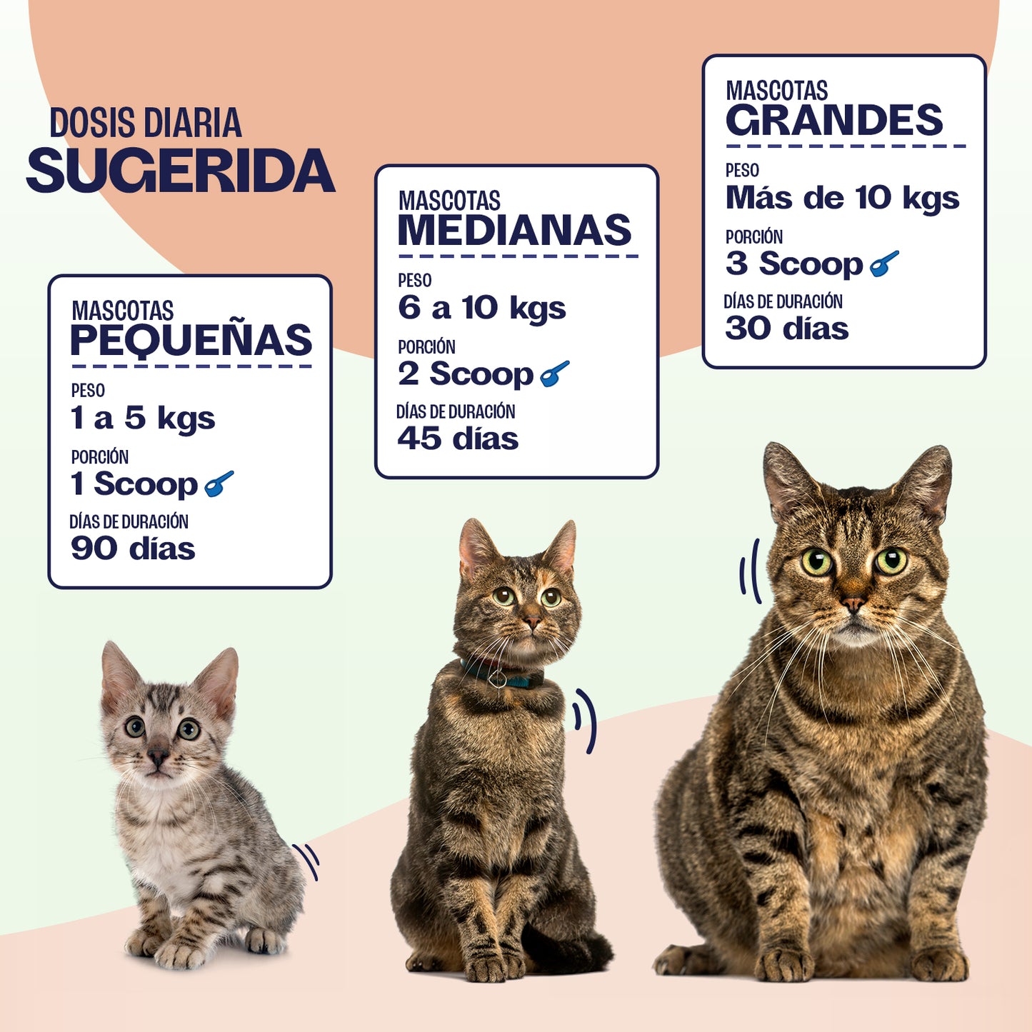 Probiótico Natural Gatos - PREBIOTIC SUPPORT