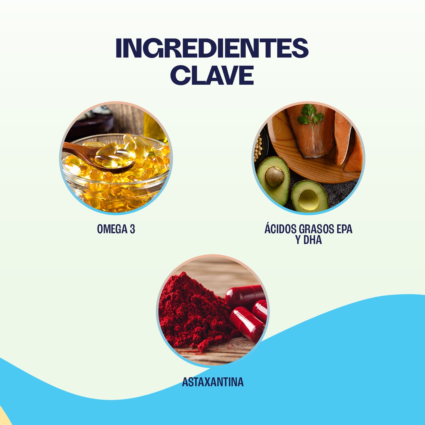 Aceite de Pescado para Perros y Gatos - WILD KRILL Omega 3
