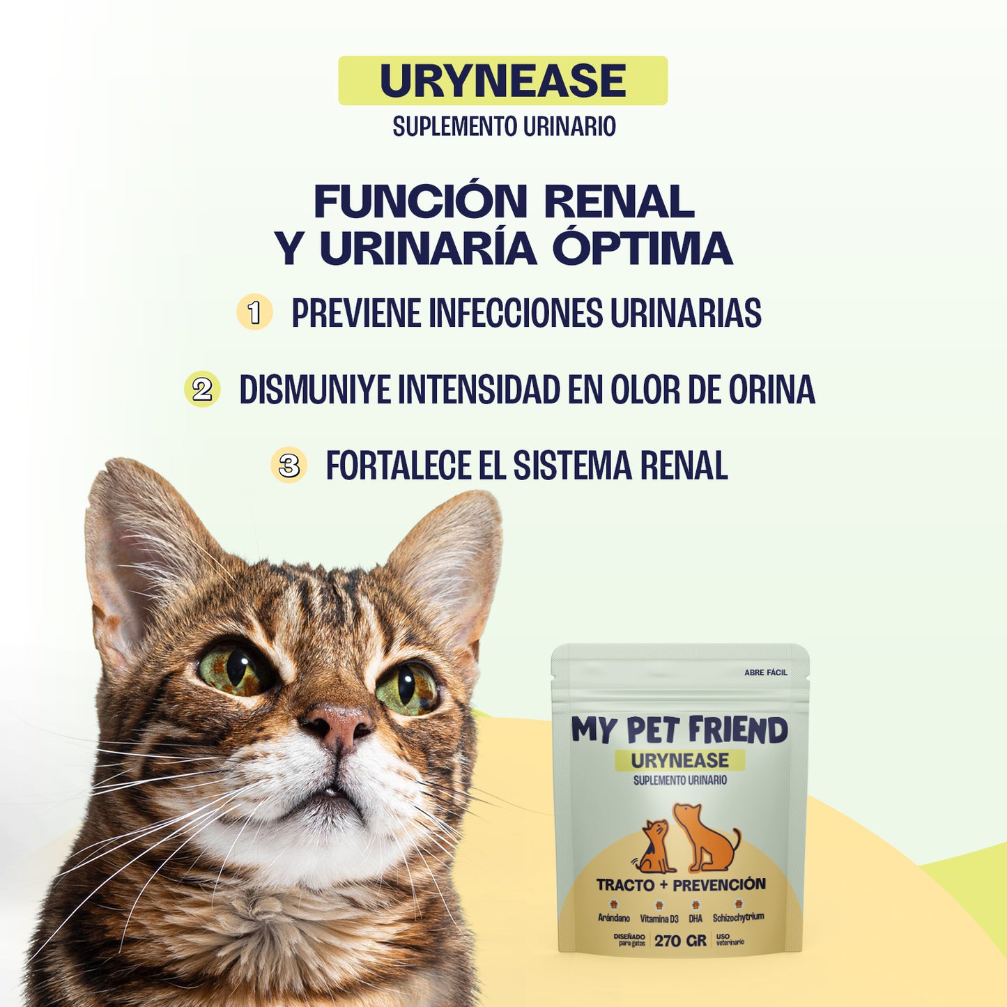 Kit - Salud Felina — Cuidado Integral para Gatos