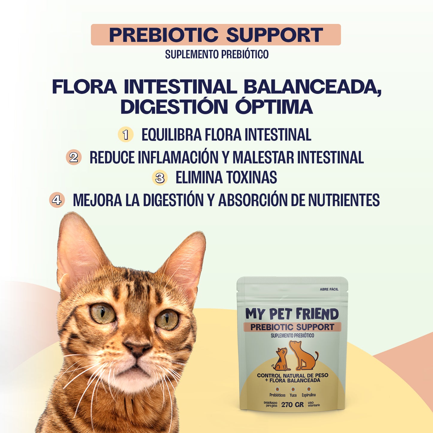 Kit - Salud Felina — Cuidado Integral para Gatos